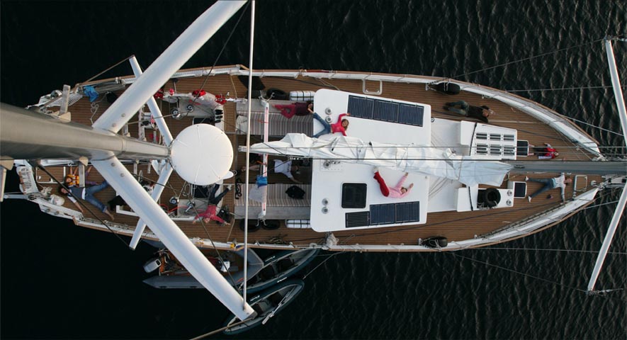 birdseye