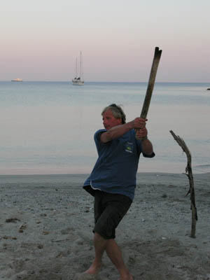 beach cricket